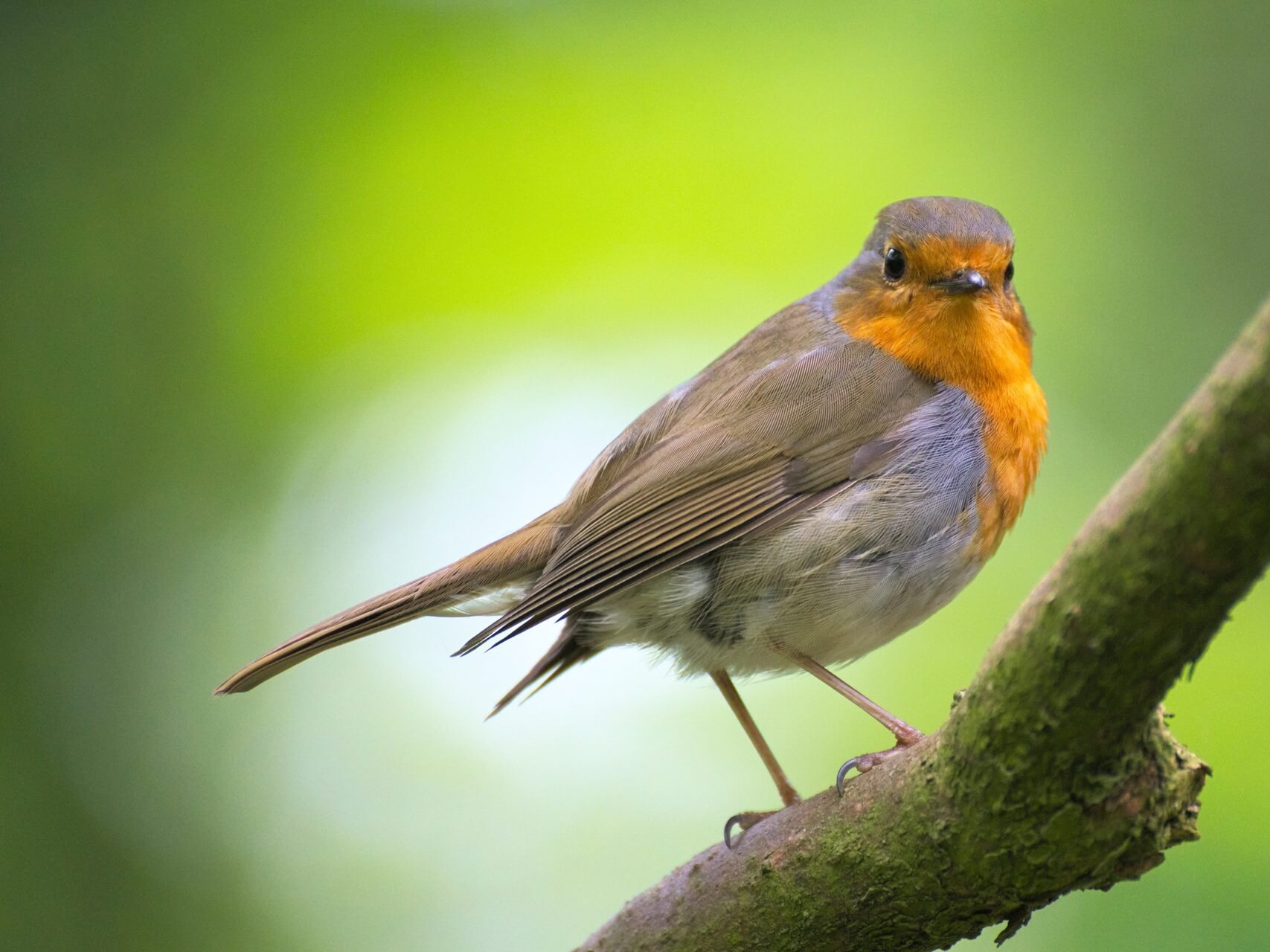 Anchoring With Sound