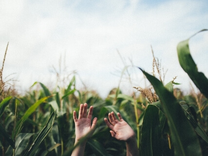 The Practice Of Letting Go