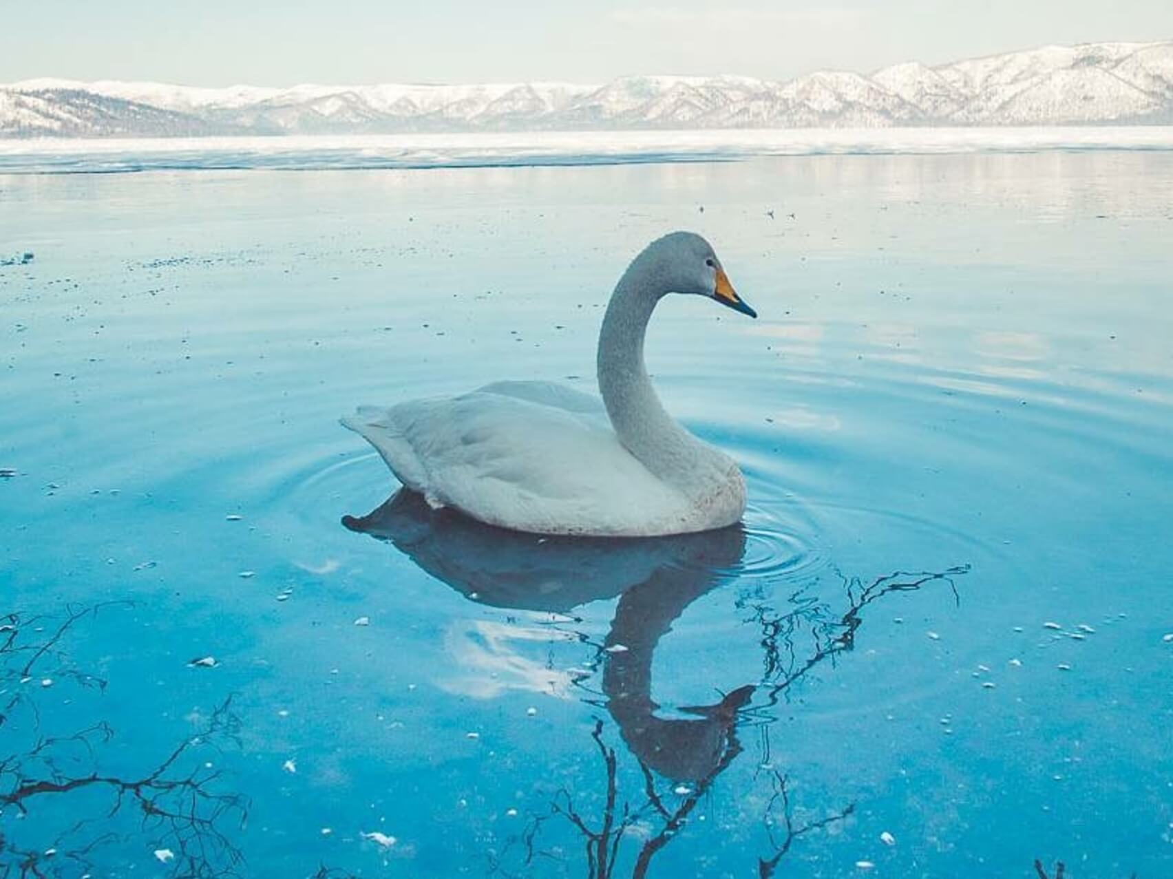 Find Ease With Mindfulness (With Music)