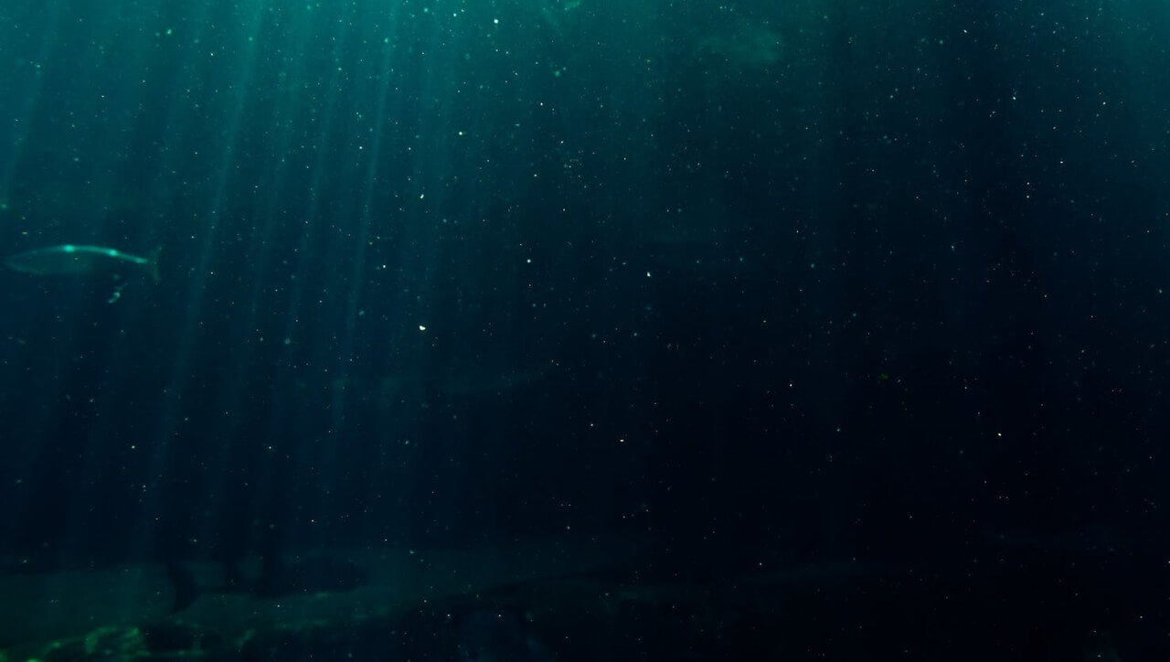 Calma y Gratitud, Siente La Gratitud En Todo Tu Ser