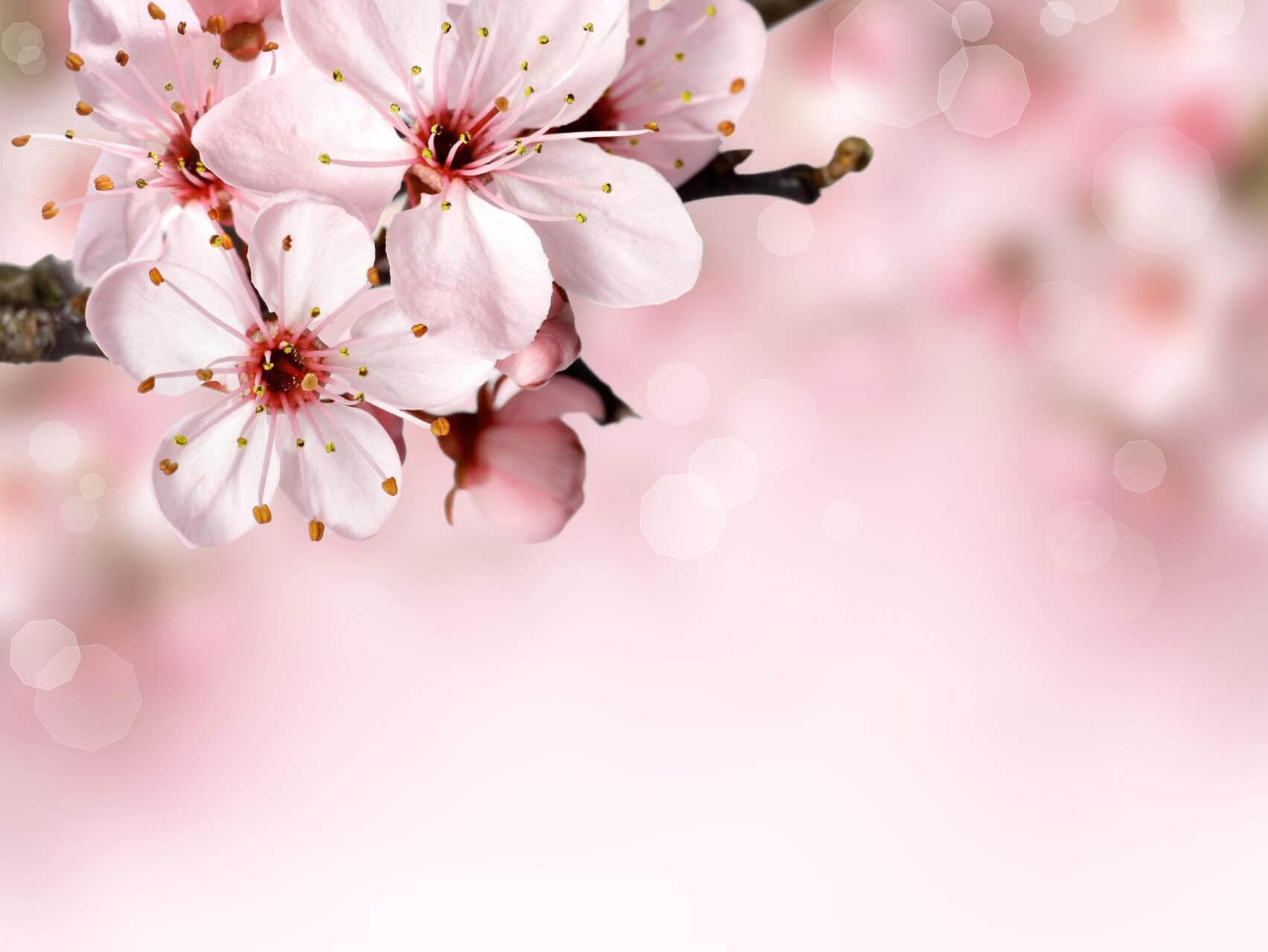 Harmonizing Your Being: A Meditation For Energy Alignment