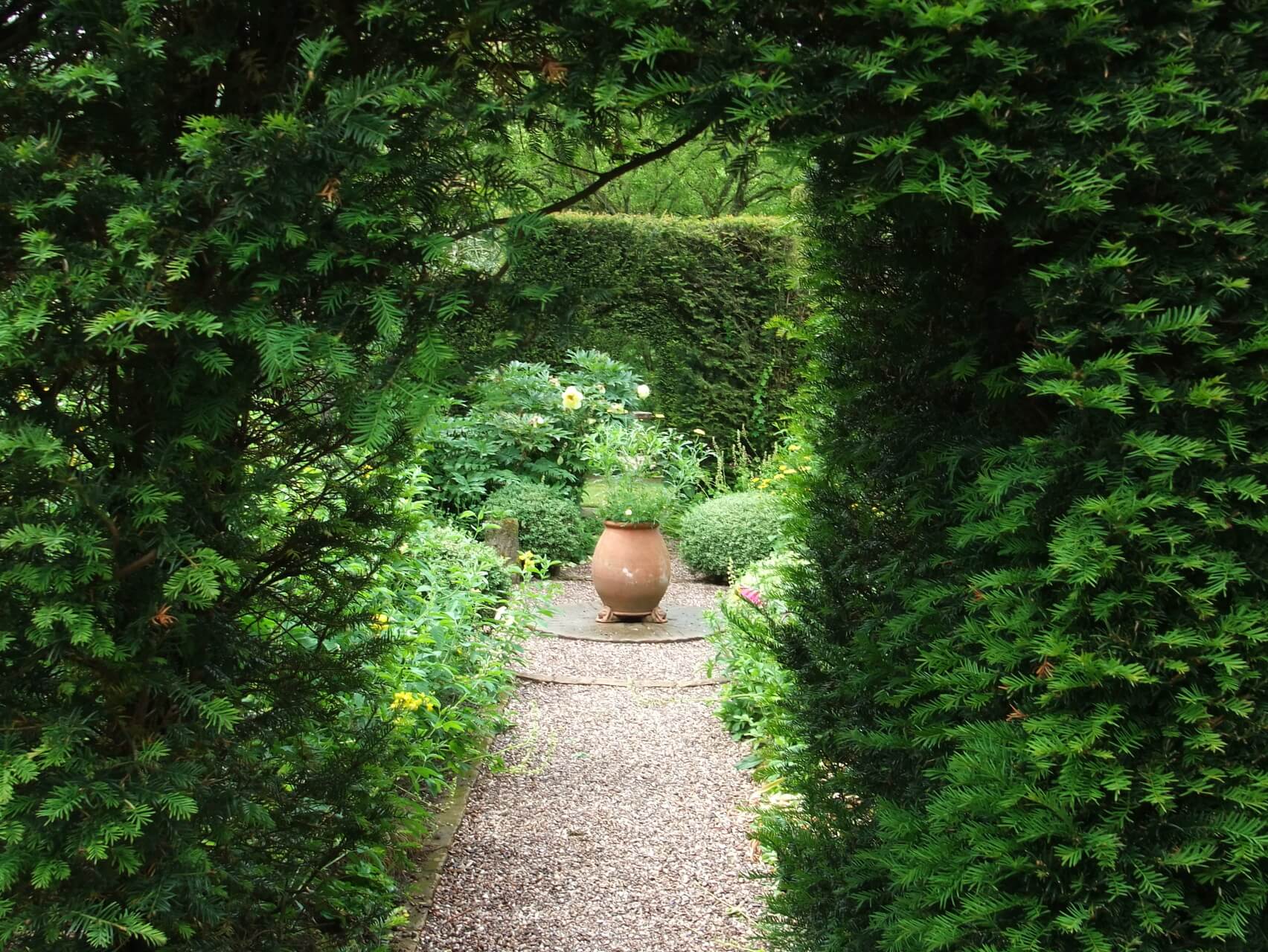 Sensory Grounding (Brief Practice)