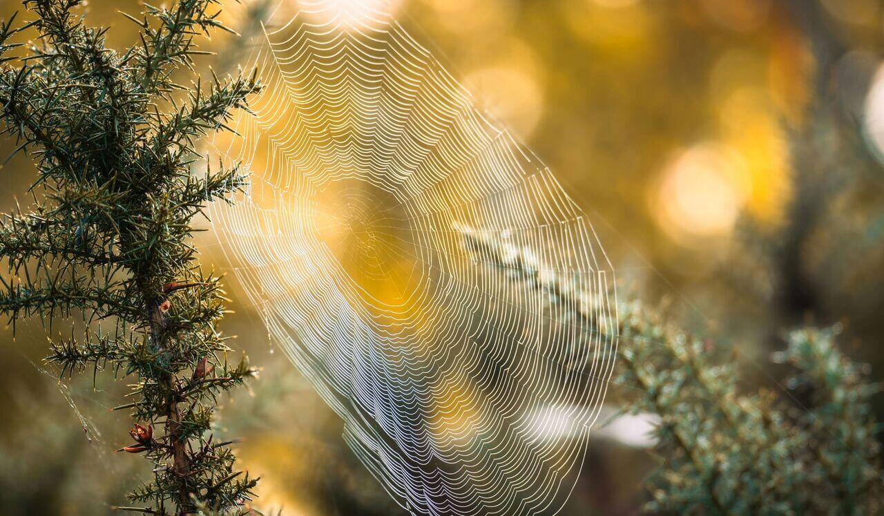 Perceiving Your Aura Meditation