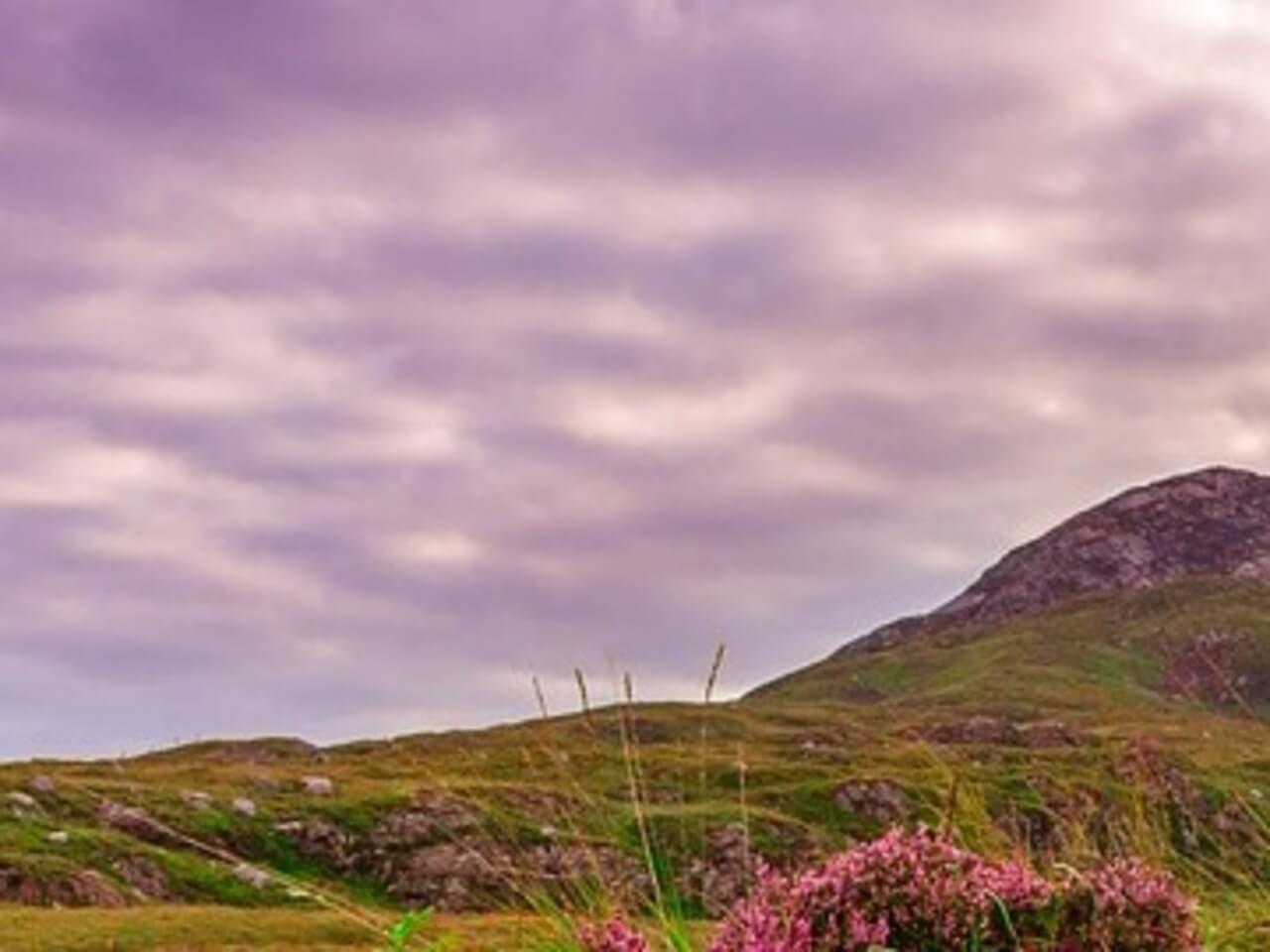 3 Minute Breathing Space