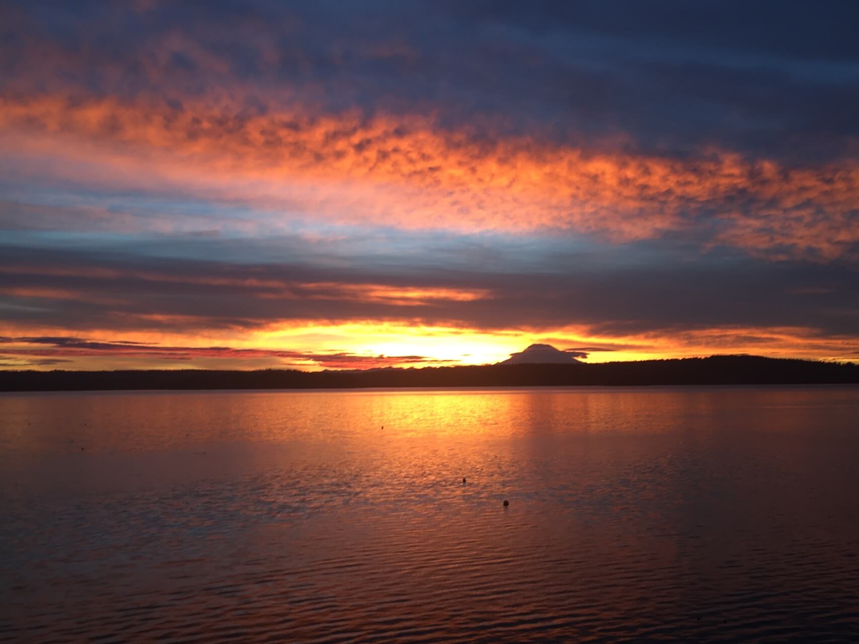 The Number One Reason We Suffer