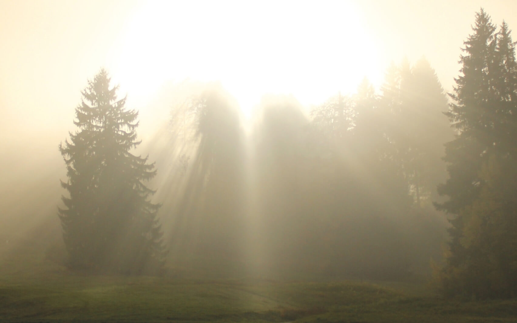 Healing Trauma Meditation