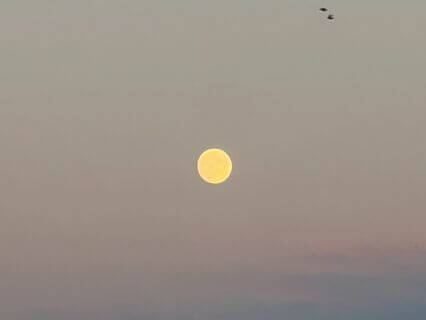 Gemini Full Moon Ritual Meditation