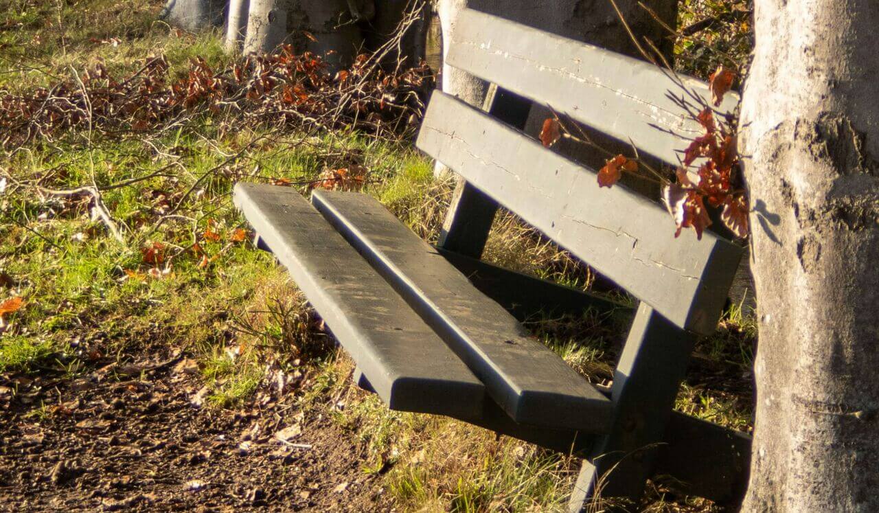 Emotional Regulation Using Kinematics