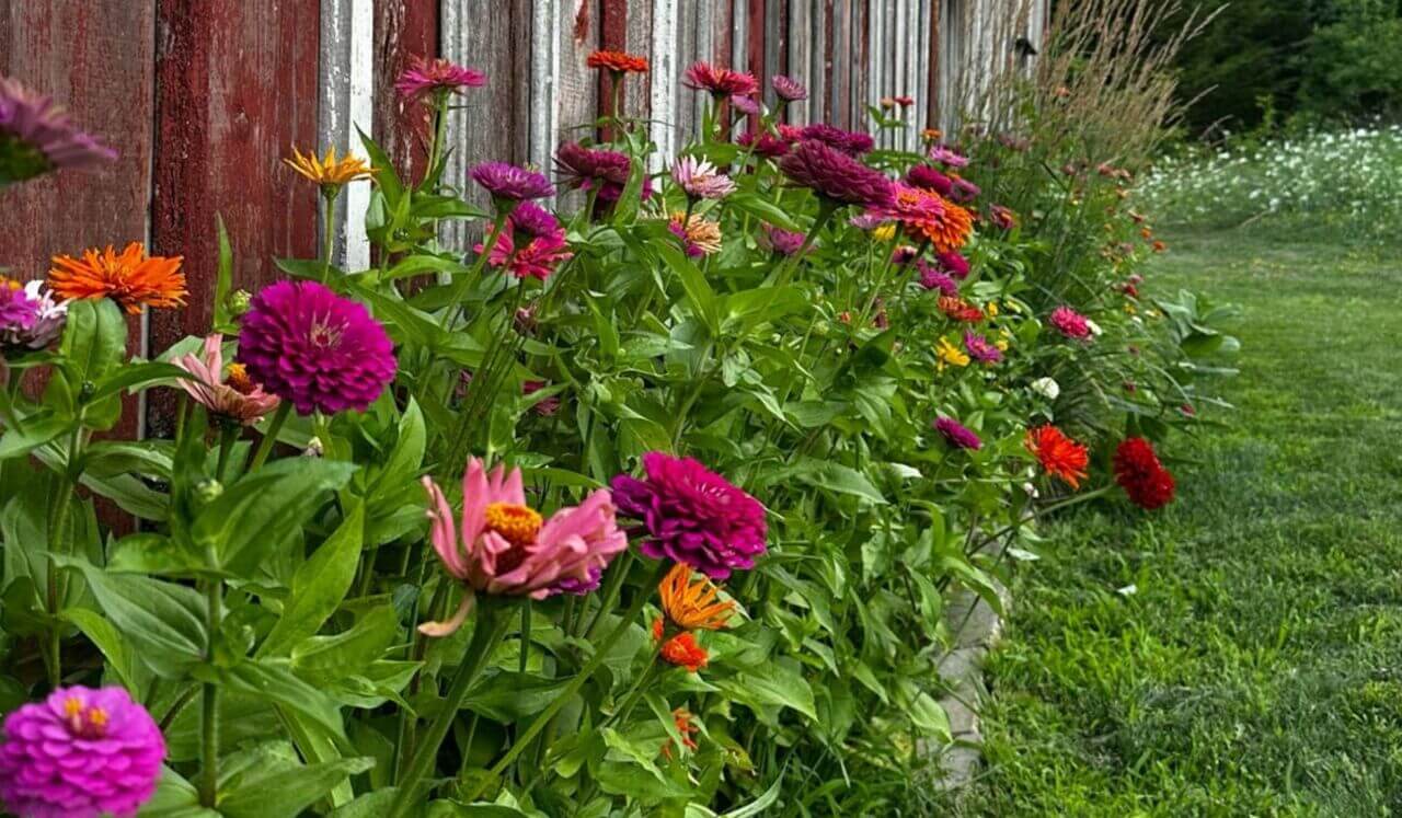 Infinite Possibilities Meditation