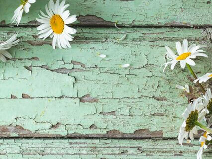 Heart Opening Meditation To Release Kapha