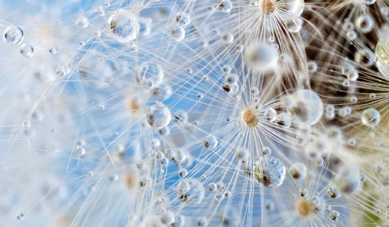 Auric Energy Field: Balancing & Clearing Sleep