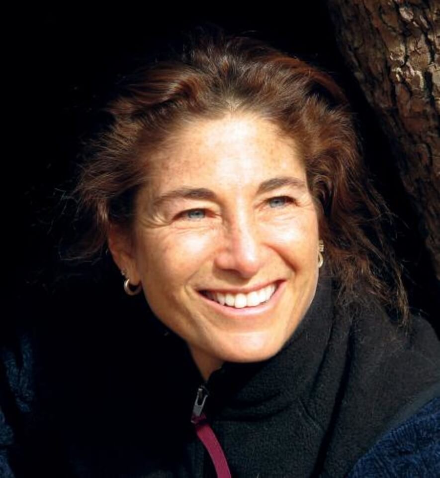 A Pause For Presence