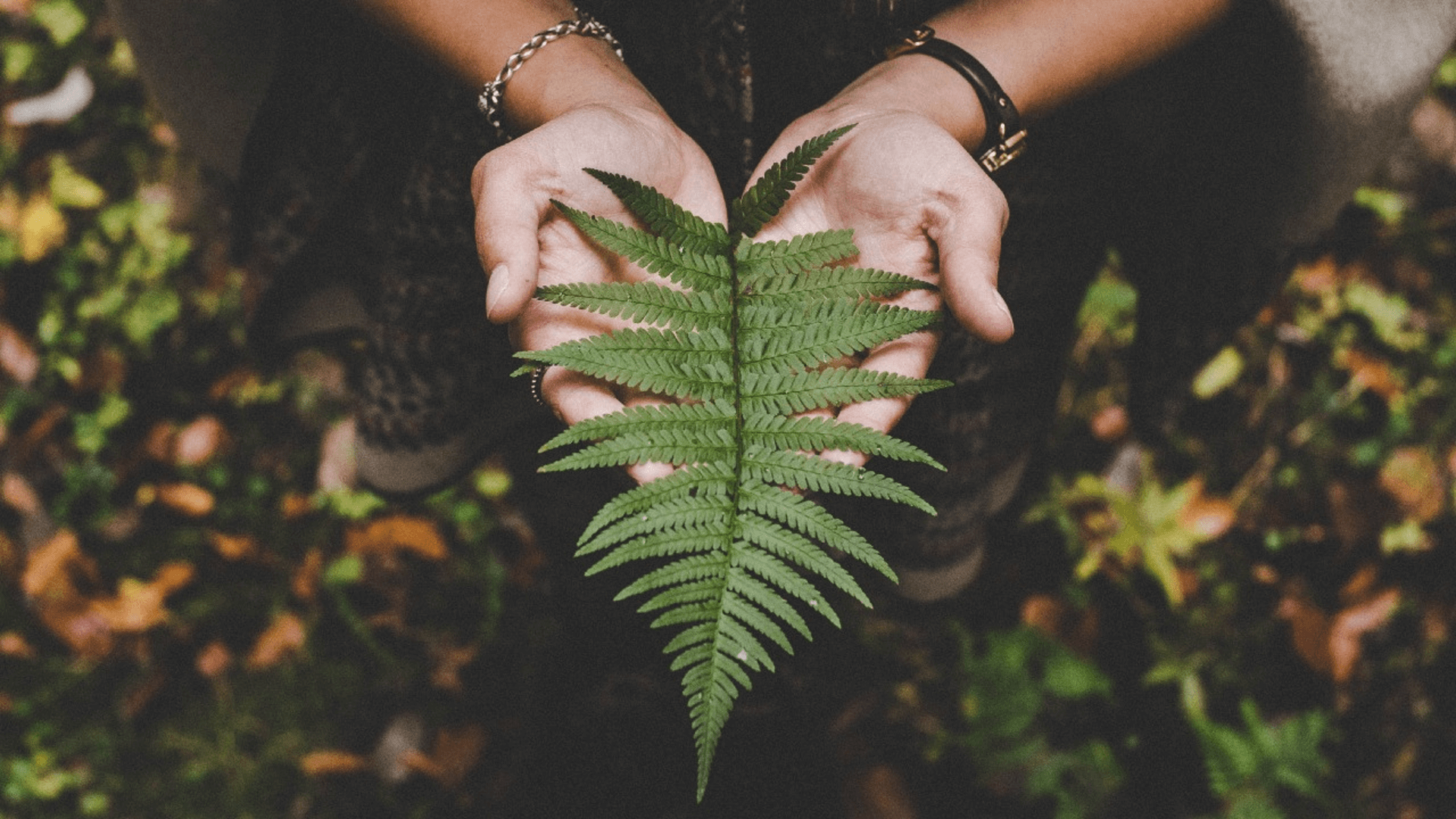 Self-Kindness Meditation  - 10 Minute Daily Insight