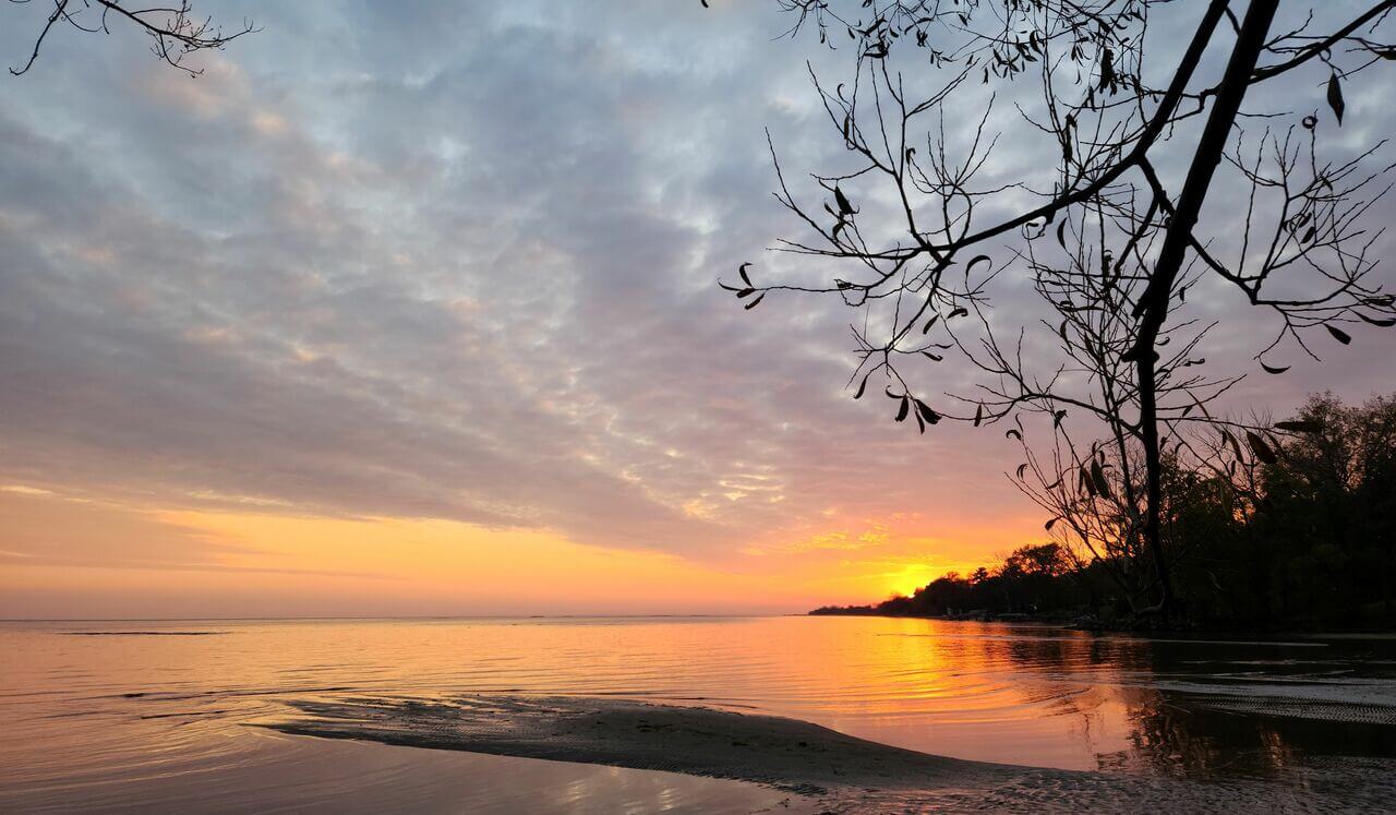 A practice of self compassion for the hard days