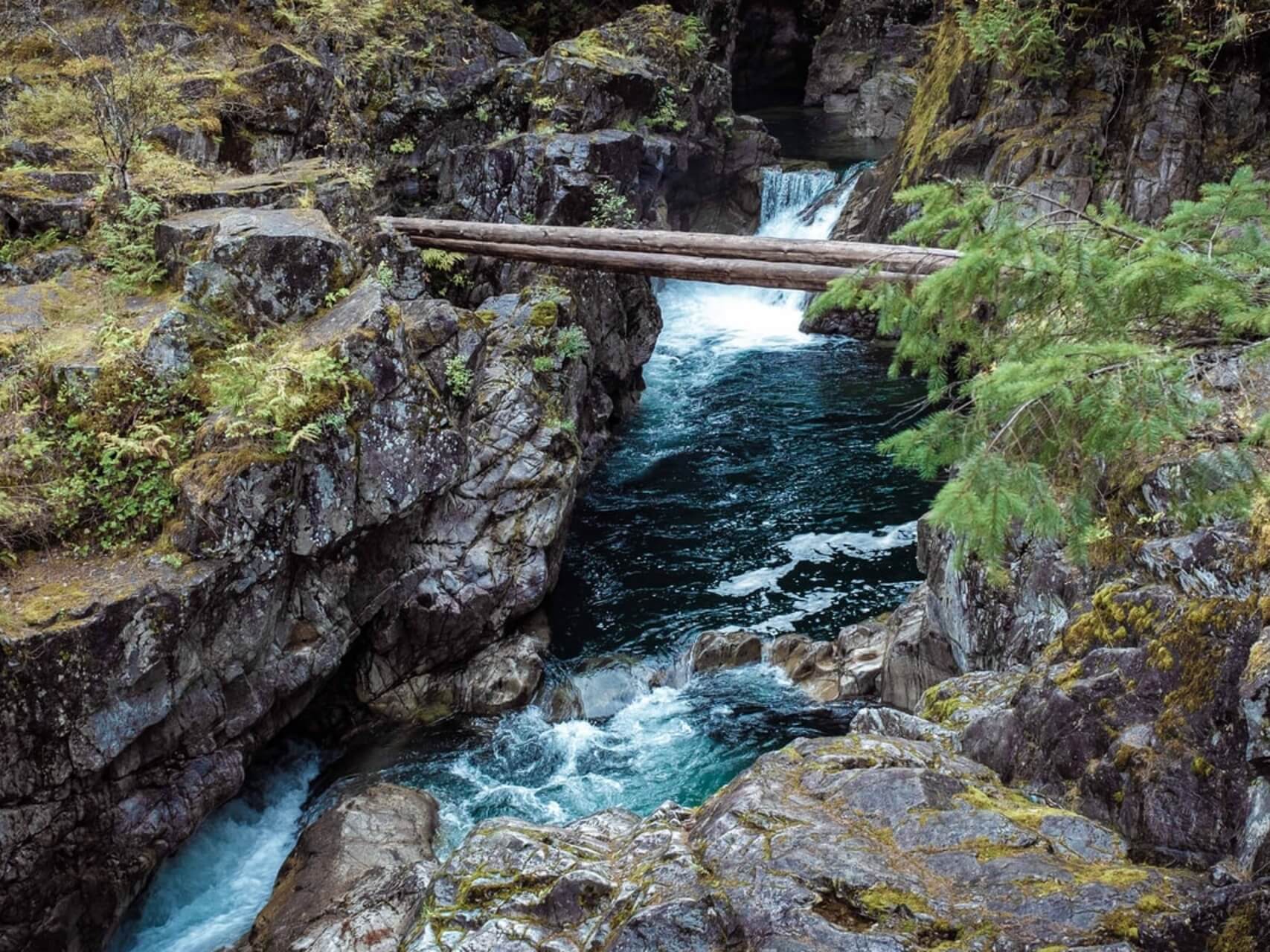 Yoga Nidra For Centeredness & Grounding 