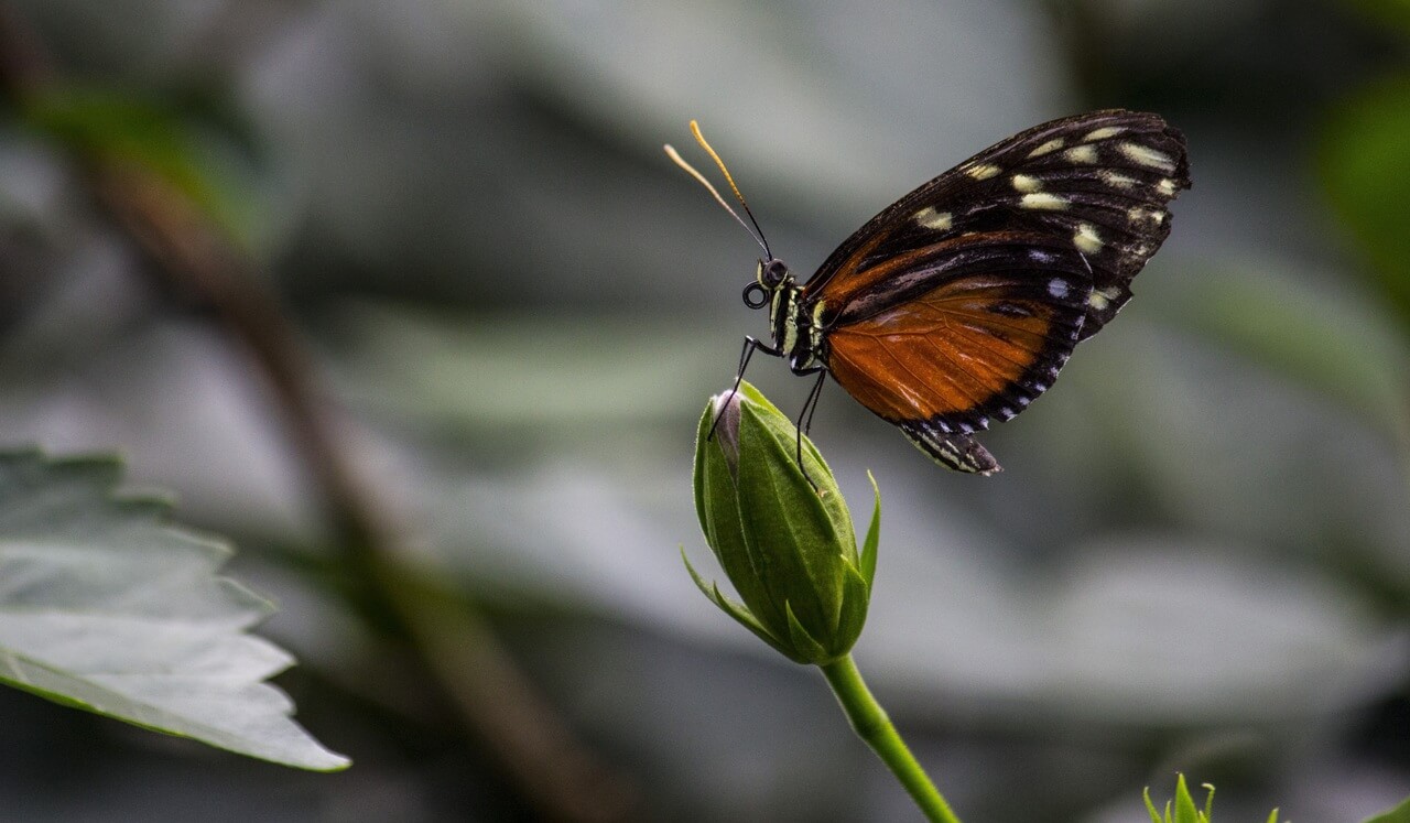 Omgaan met Gevoeligheid in een Drukke Wereld