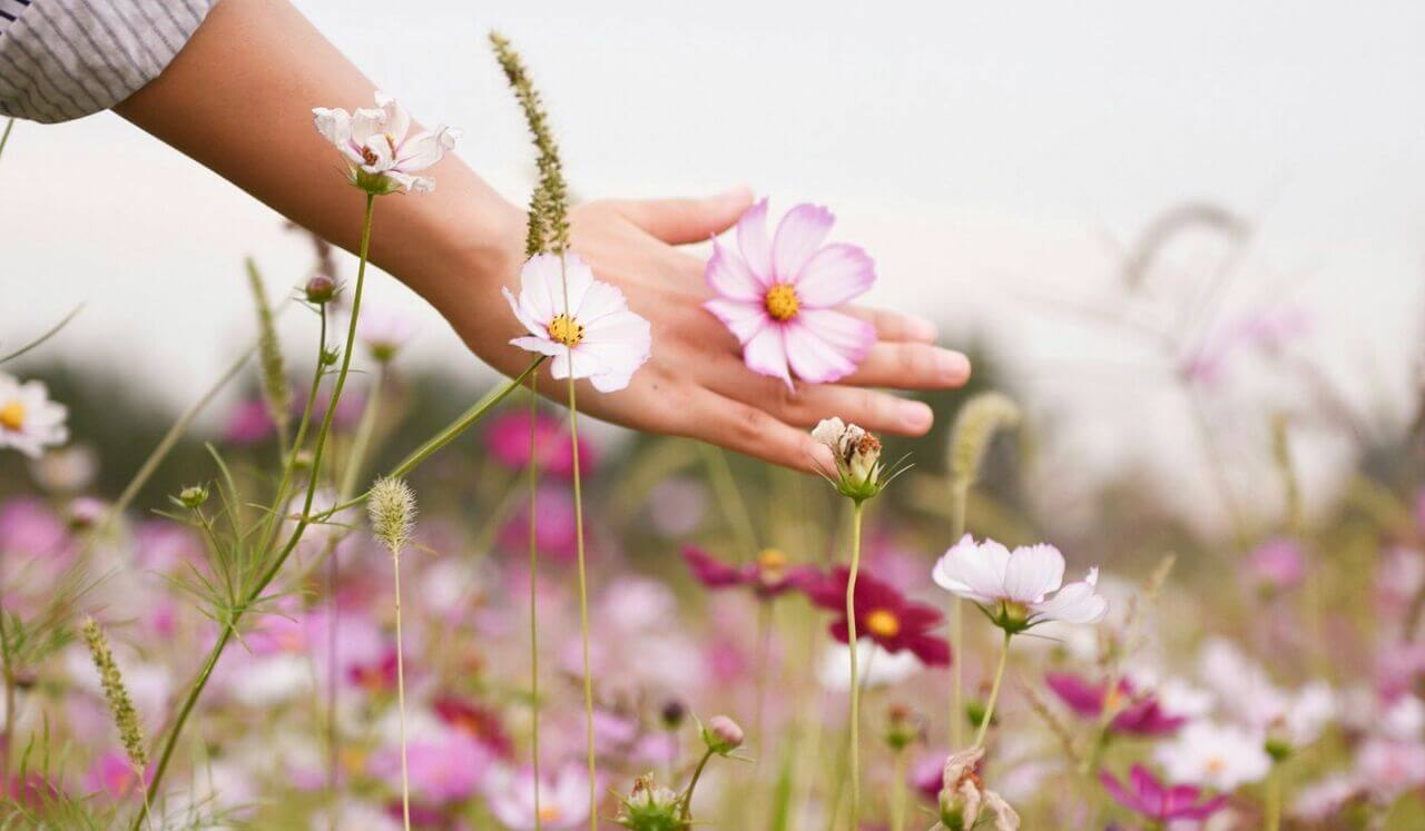 Inner Spring Cleaning