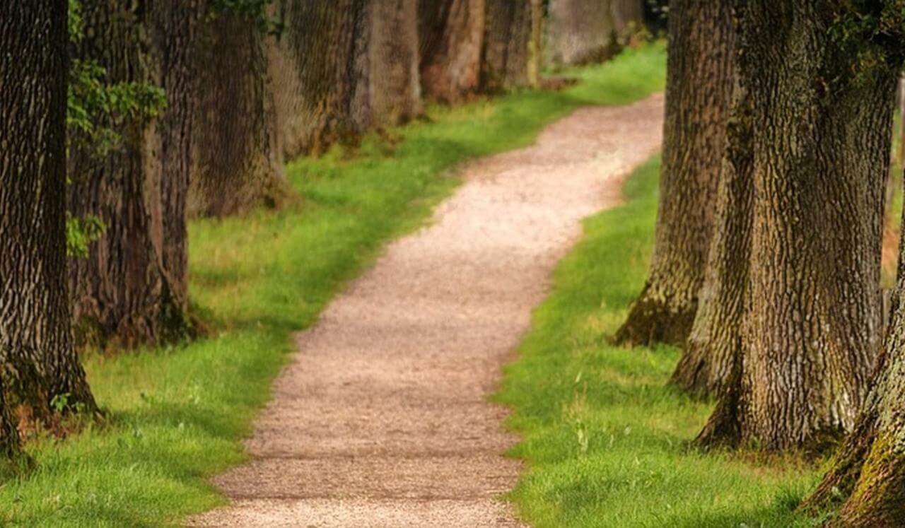 A Psalm Of Restored Rhythm