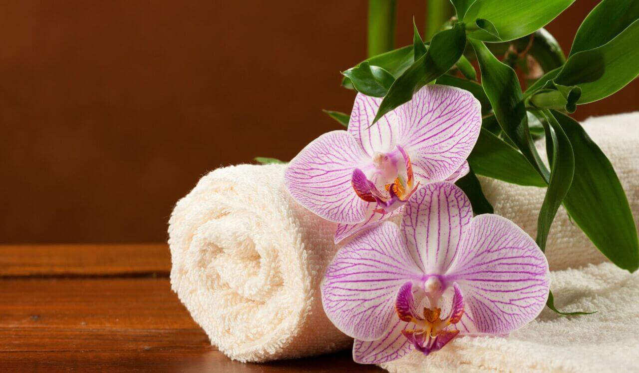 Soin Quotidien Antistress