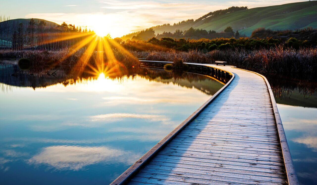 Mindful Presence: The Gentle Path Home To You