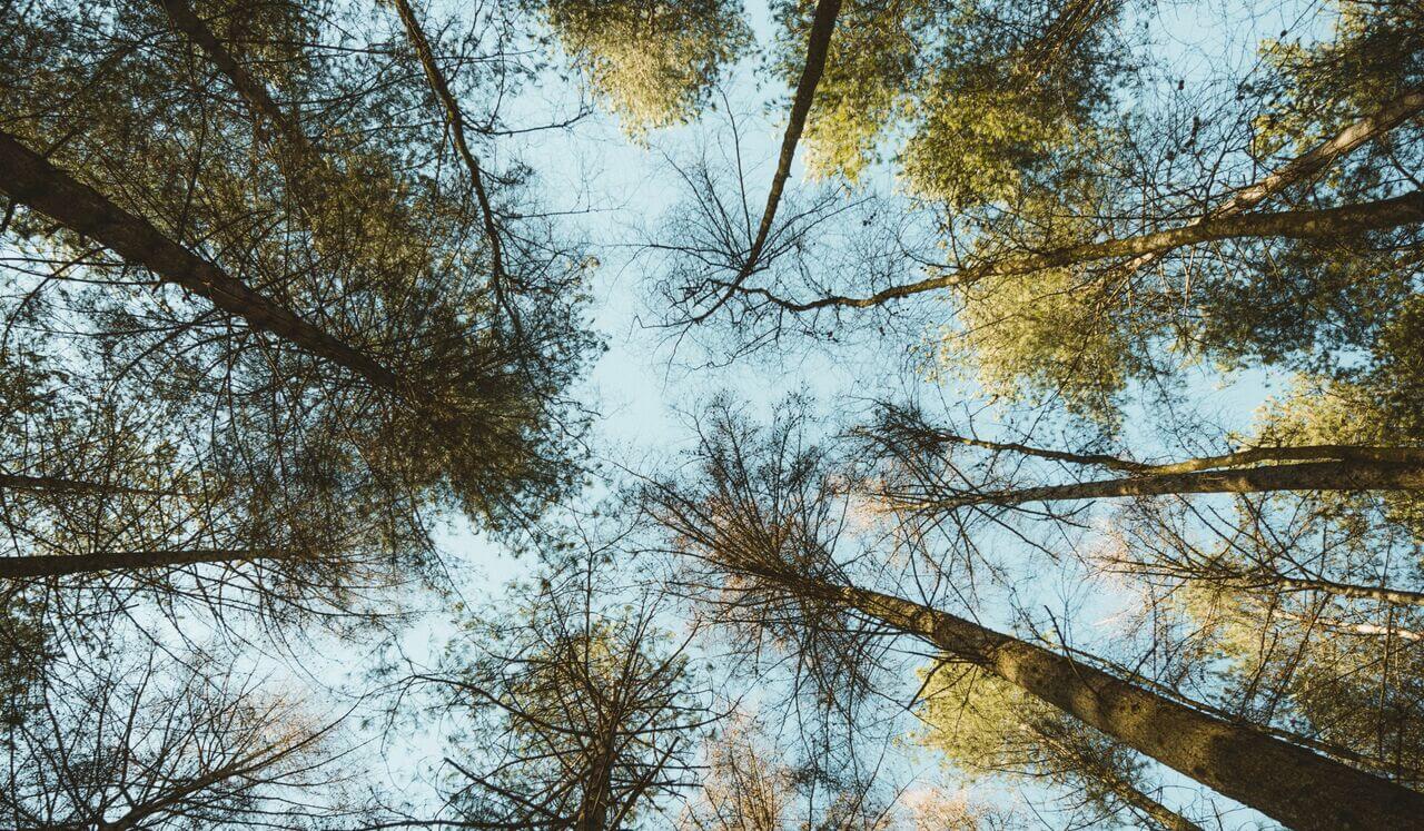 Morning Meditation | Re-Energise After A Bad Night's Sleep