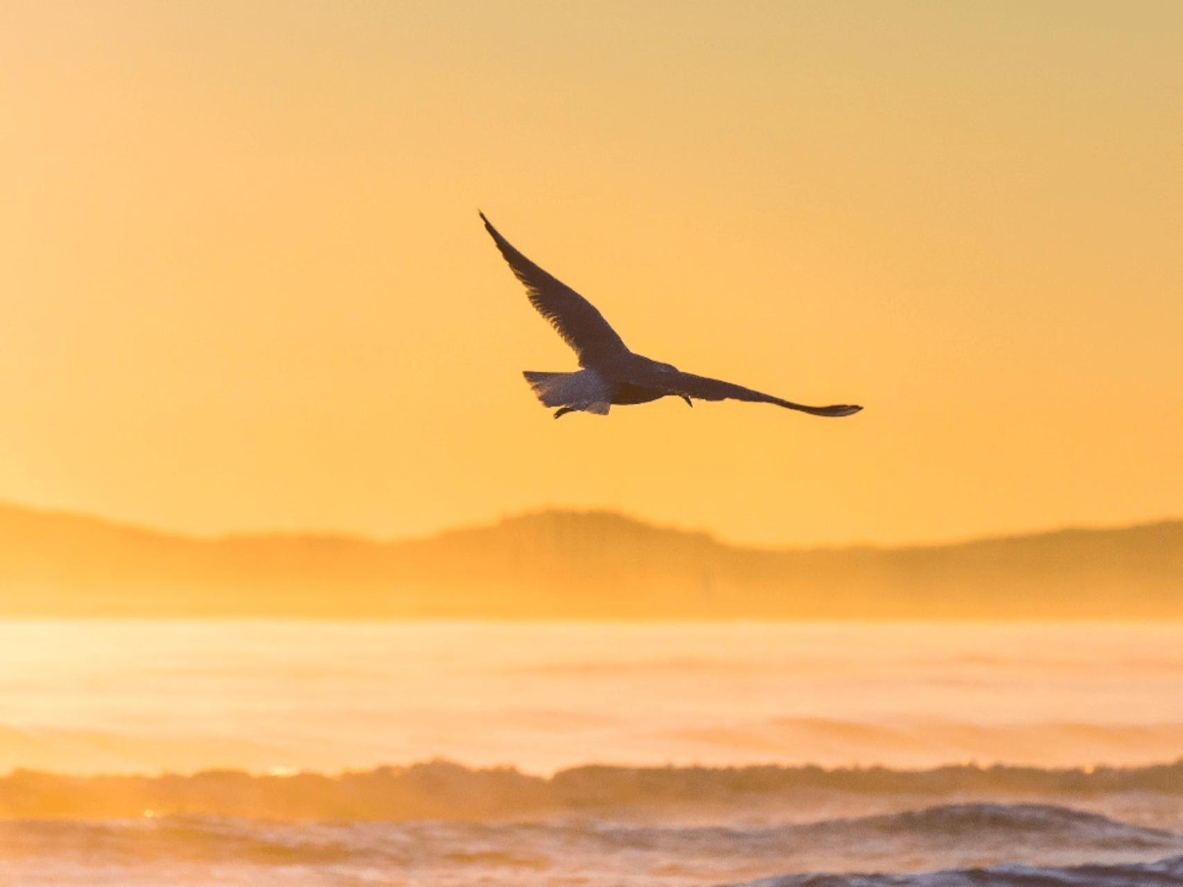 Managing Stress & Anxiety With Ease  - 5 Min Daily Insight