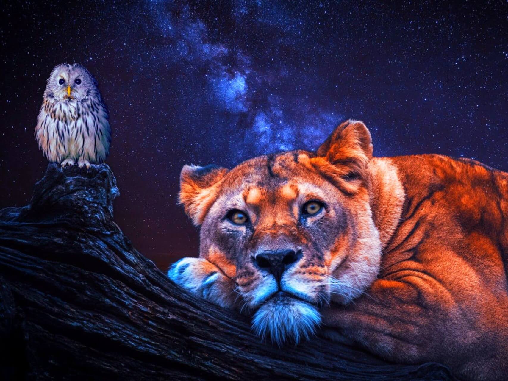 I AM Affirmations: Boundaries, Inner Power & Soul Energy Alignment