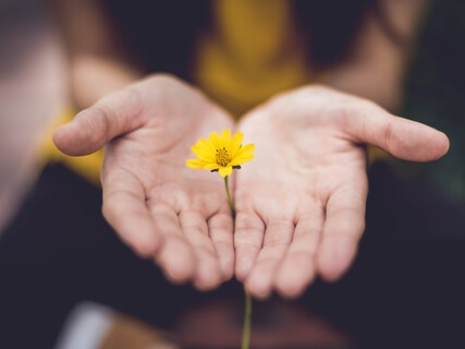 Ejercicio del Autoperdón