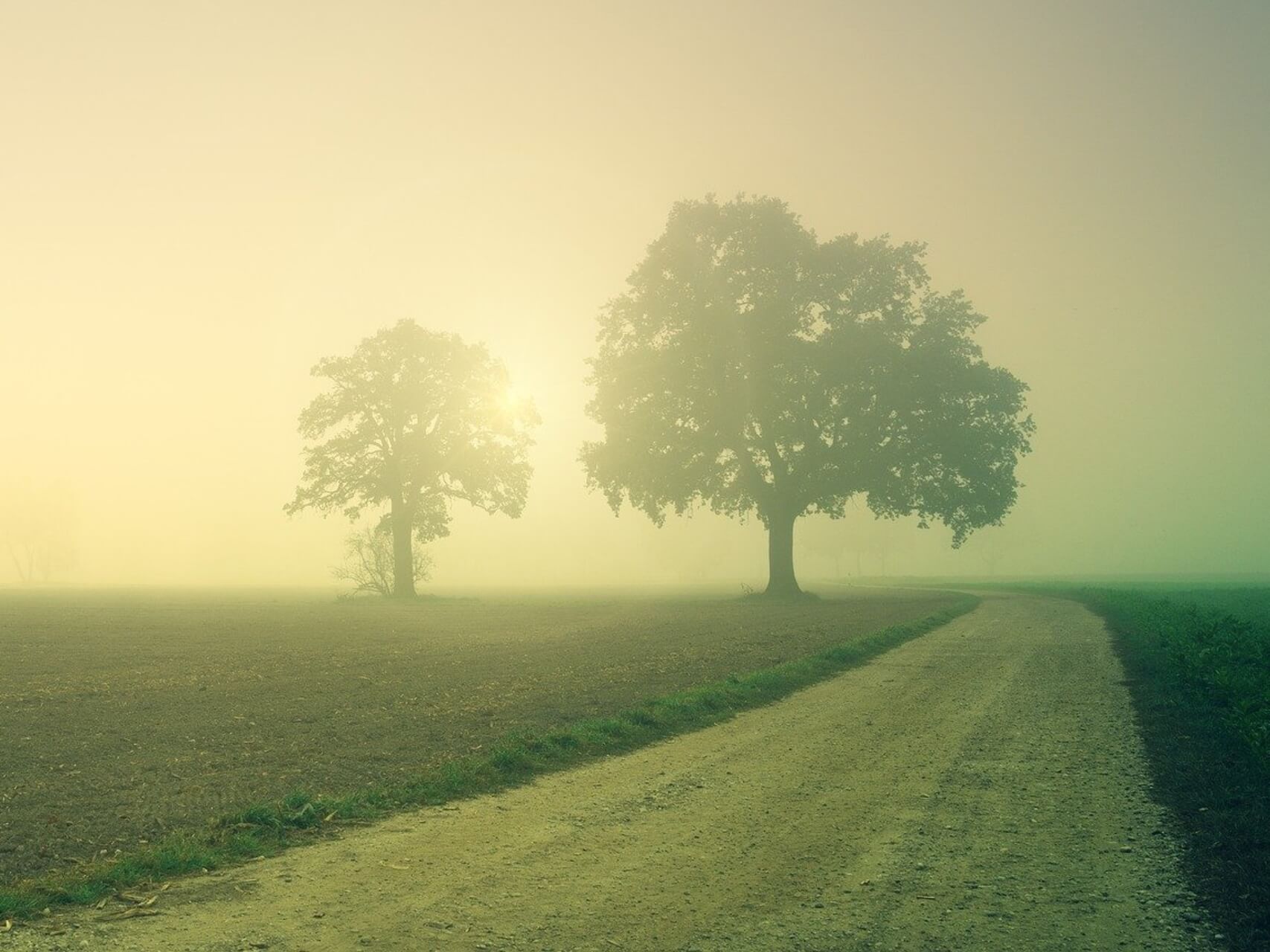 Depression - Banish Dark Thoughts & Feelings