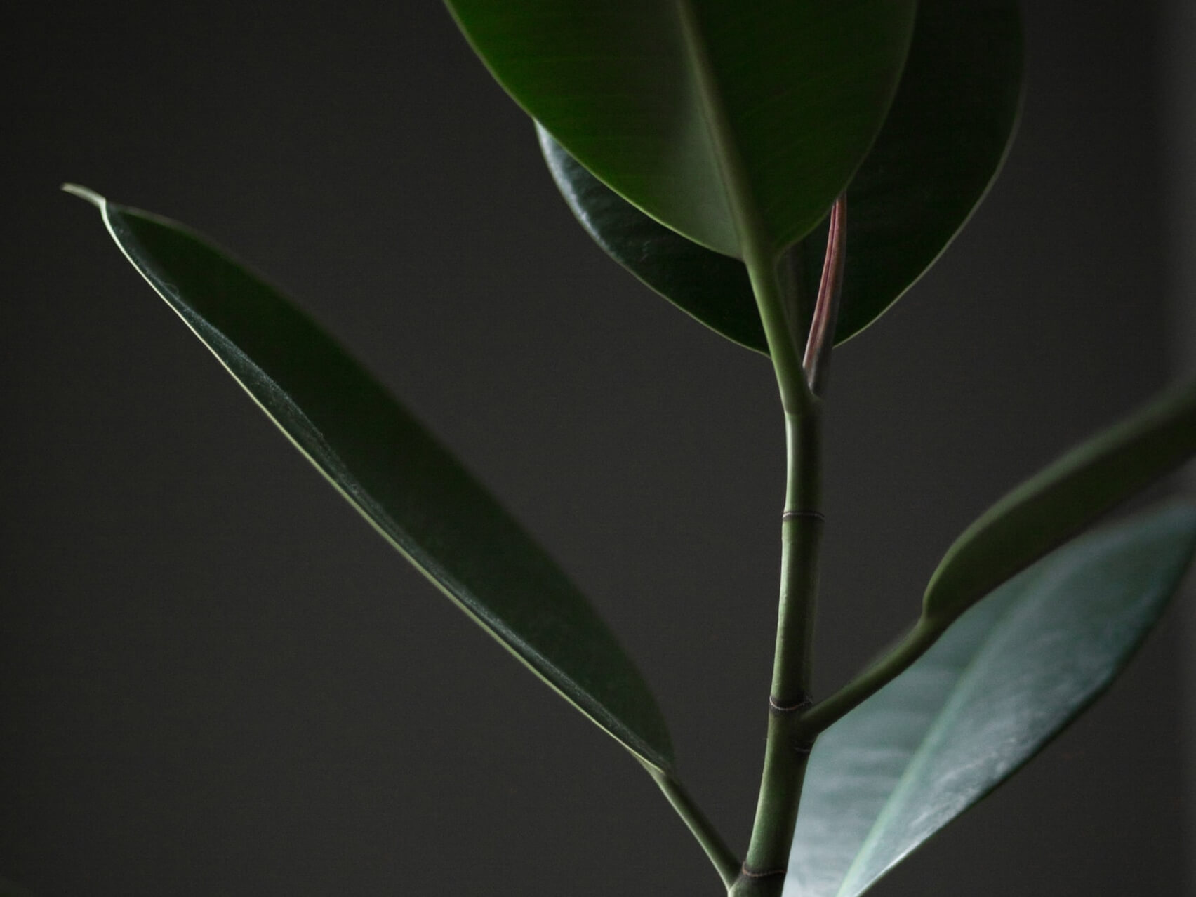 Ujjayi Breath To Relieve Anxiety & Stress