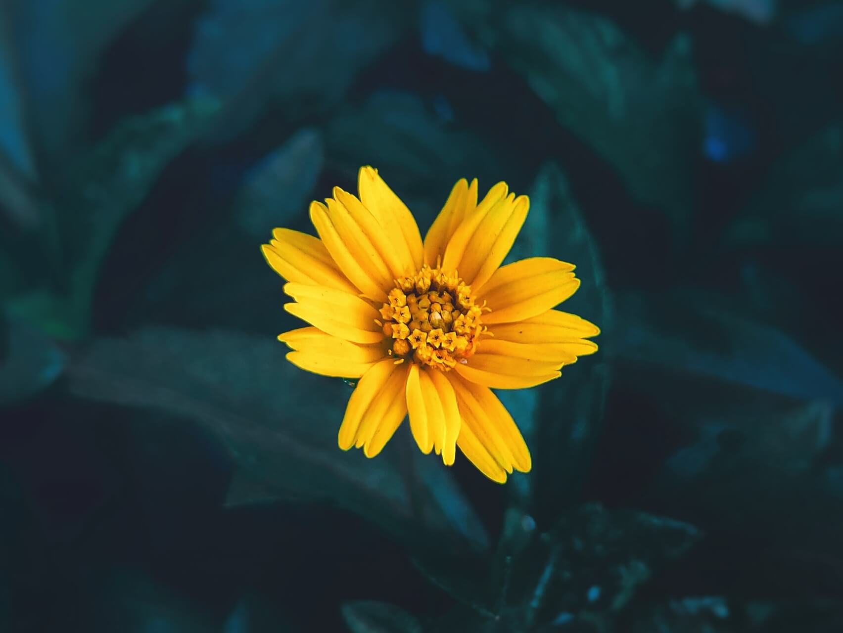 Explore Addiction Cravings Through Sensation Awareness