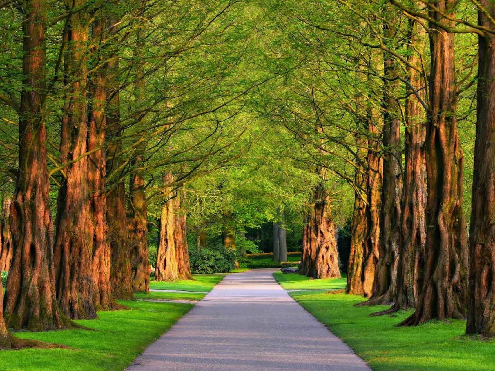 Shift Overwhelm To Calm & Focus So You Can Get Things Done