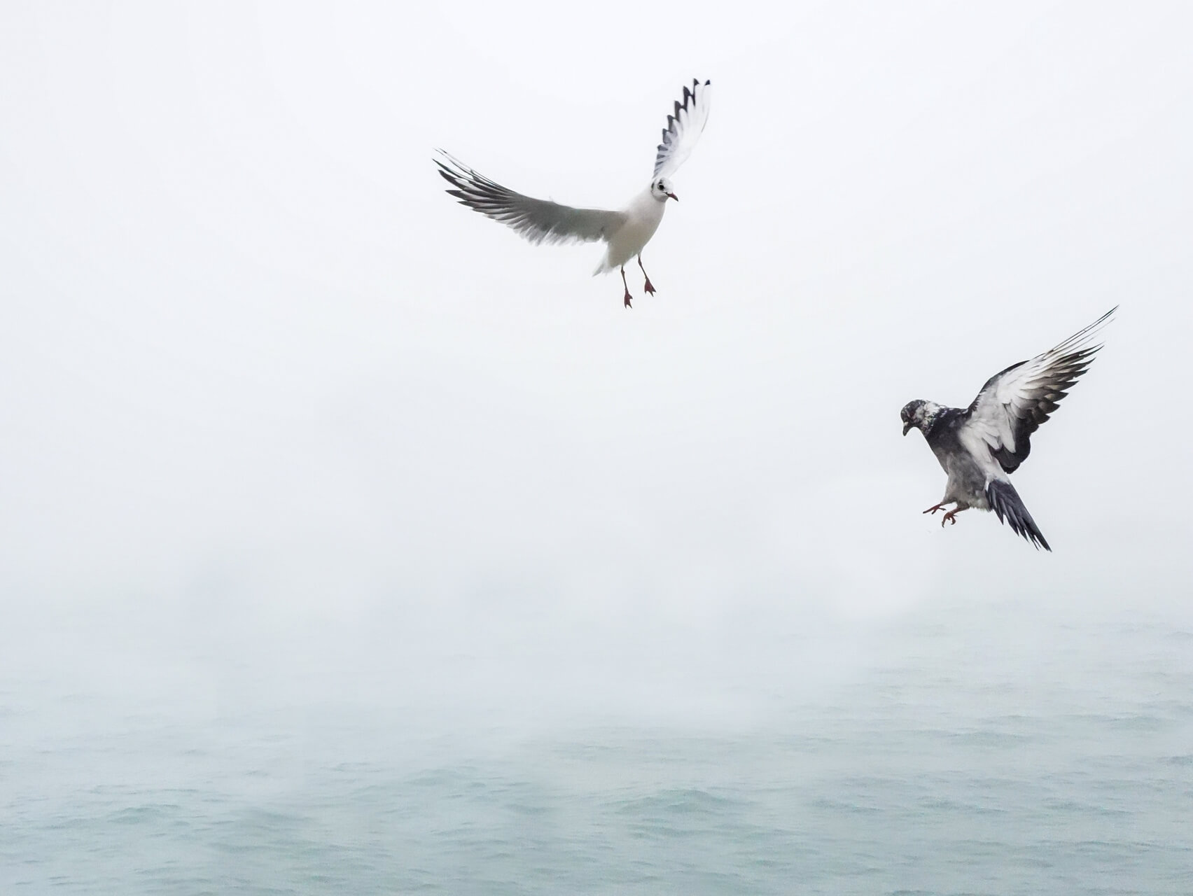 Laisser partir la Culpabilité