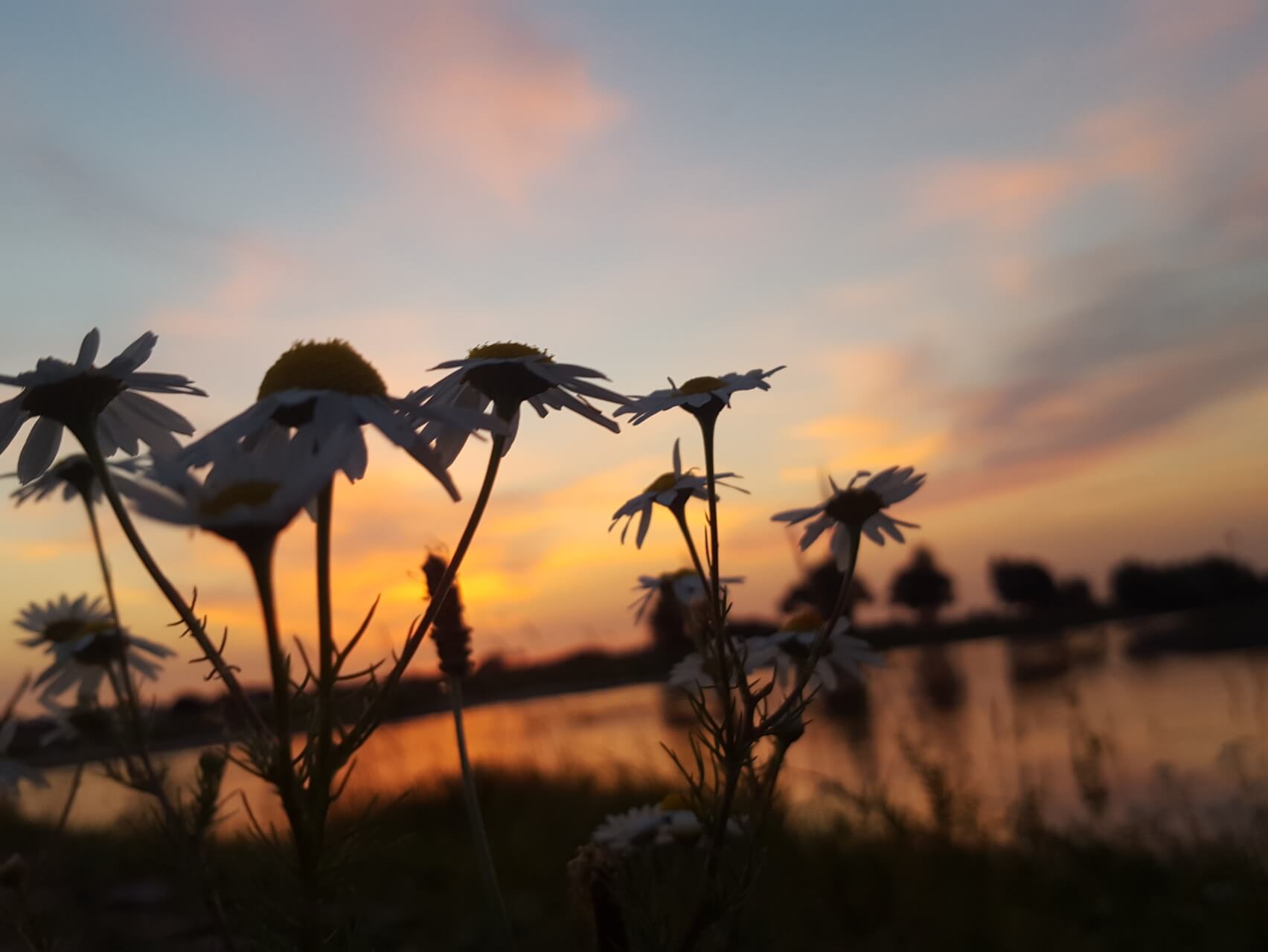Zelfs de Meest Lastige Ervaringen Lossen Op