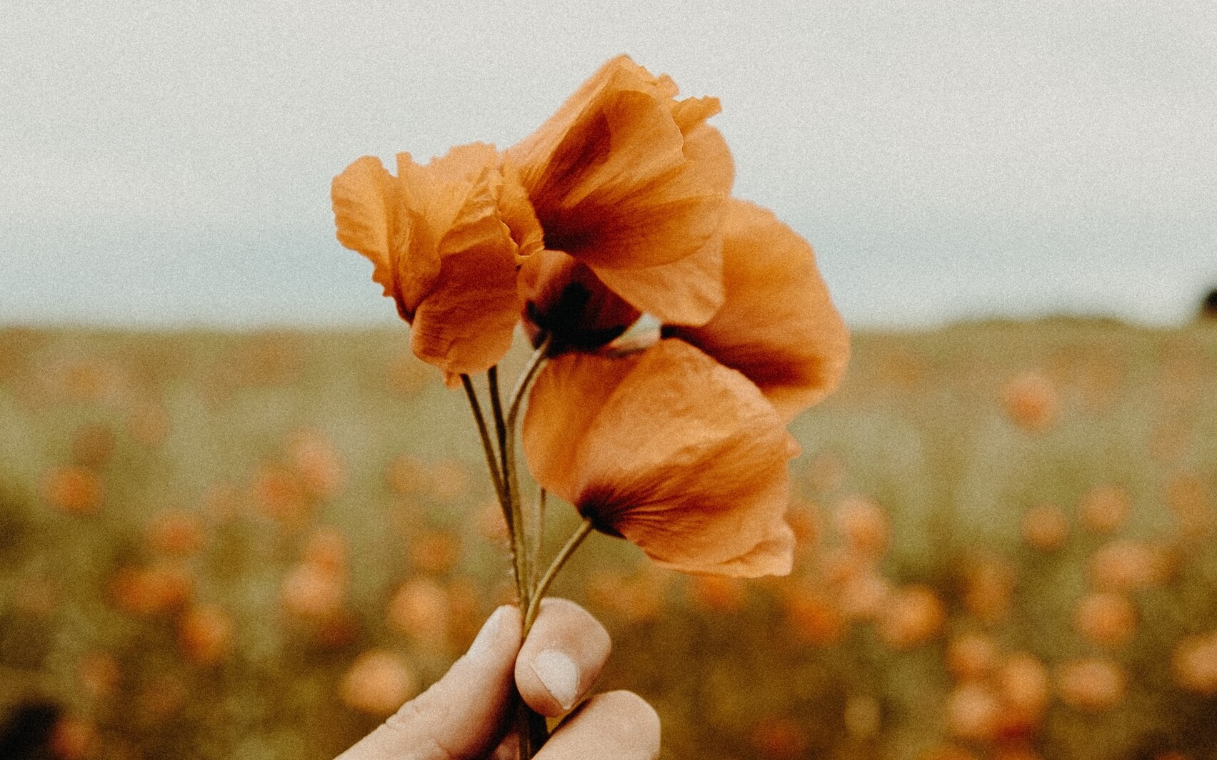 YOU Are A Safe Space To Dwell