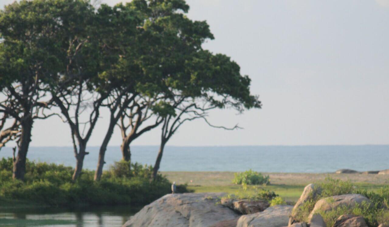 IFS Insight: Basic Concept Of Parts