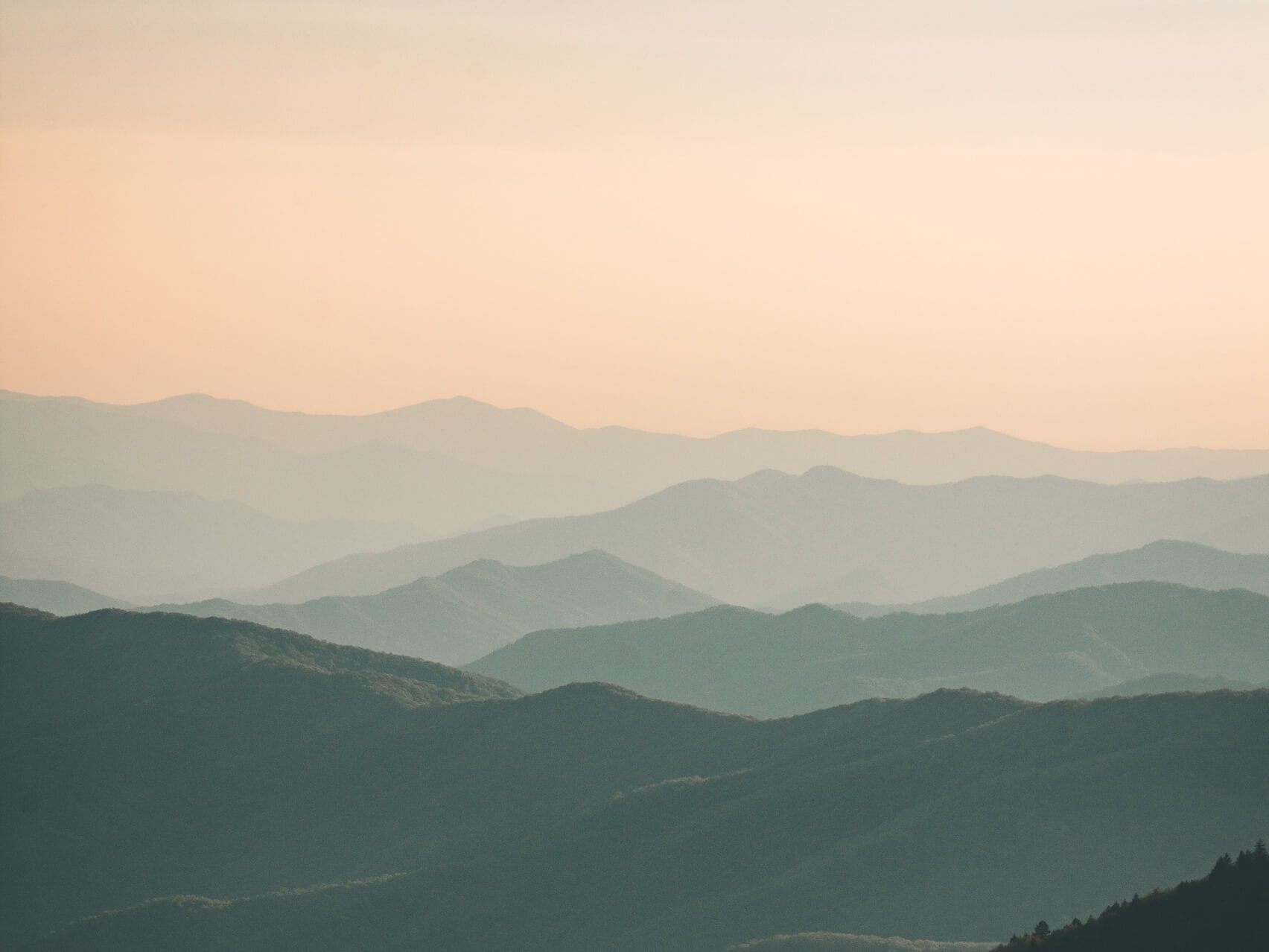 Tending Your Trauma - Deep Orienting Practice