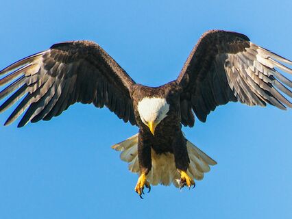 Overcoming Habits And Addictions - by Jacqueline MamaJ Hollows