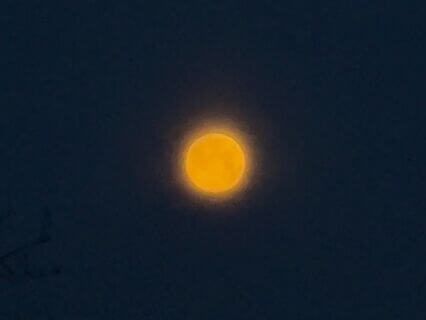 Virgo Full Moon Lunar Eclipse Ritual Meditation