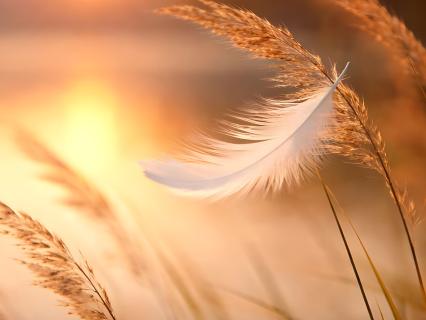 Conversas Com Alma - Tema 2 | Aceitação - by Jorge Miguel Porfírio